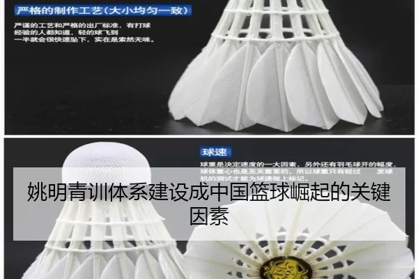 姚明青训体系建设成中国篮球崛起的关键因素
