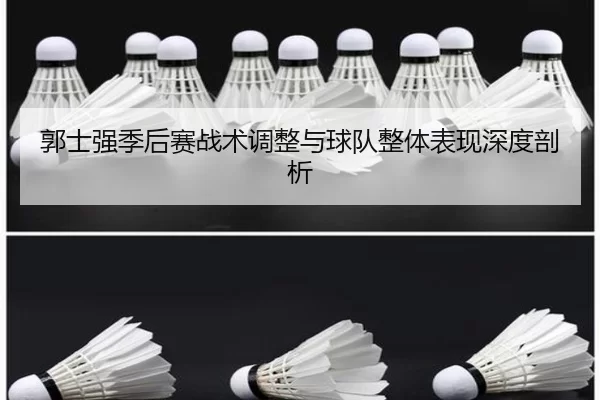 郭士强季后赛战术调整与球队整体表现深度剖析