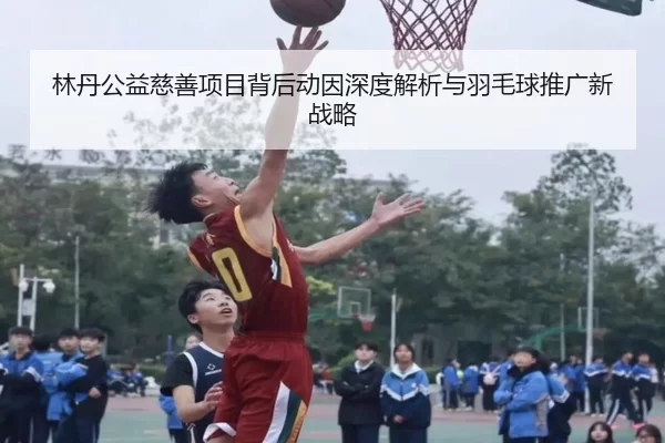 林丹公益慈善项目背后动因深度解析与羽毛球推广新战略