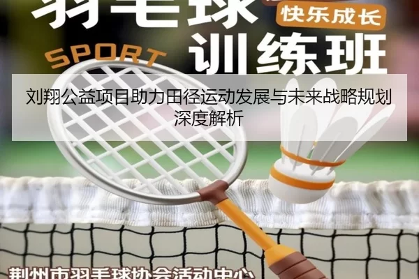 刘翔公益项目助力田径运动发展与未来战略规划深度解析